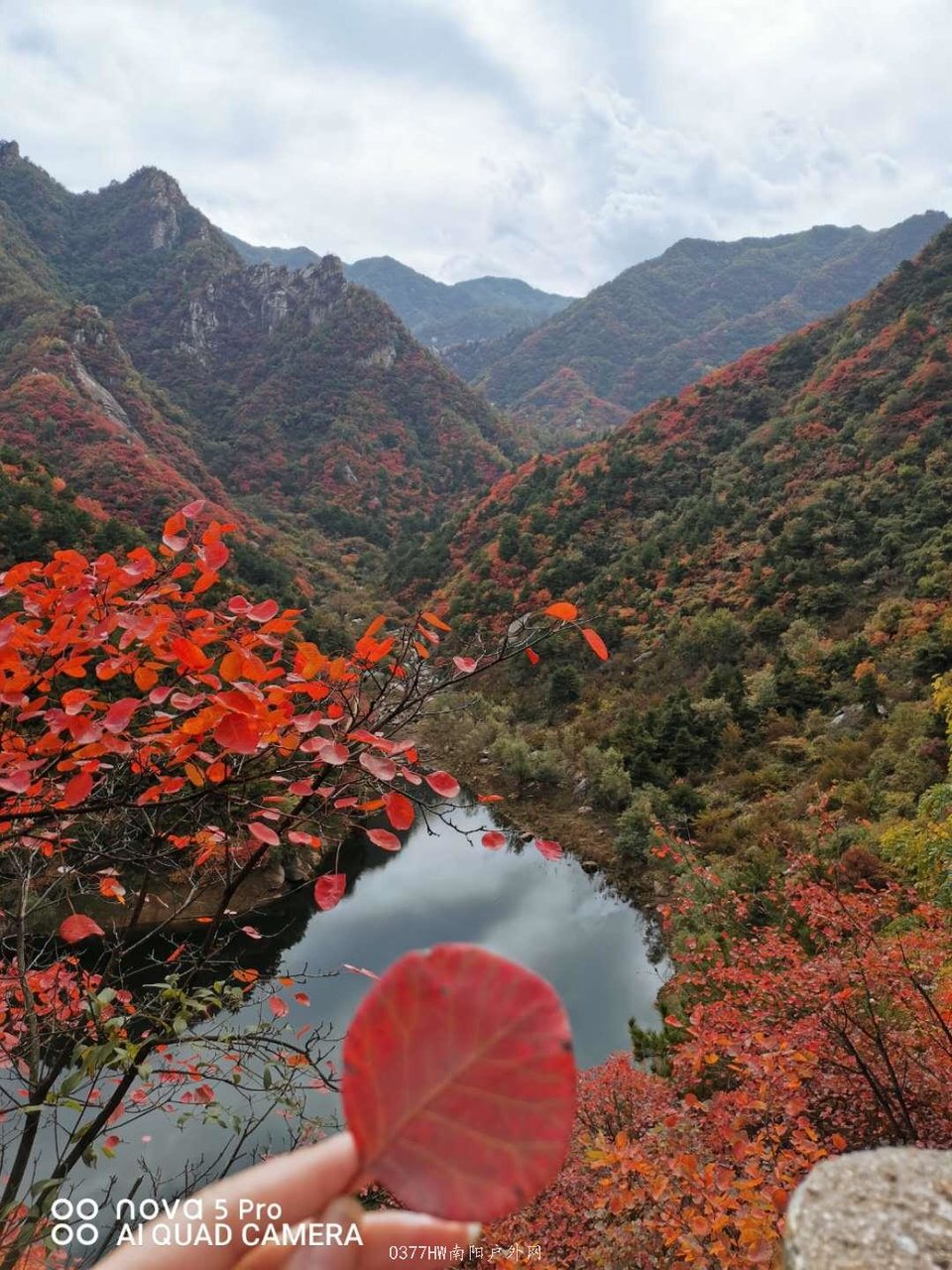 YKs6JM7D-18TuvX450JpQ-hFU6CMehpNfo4wxhxml2d-YW86zLZaVdhflSfJuhO5