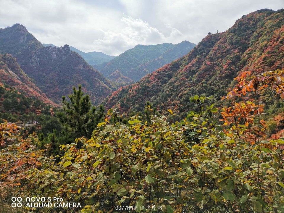 TwwDquIUY8Y3A43LXvkzAeczIw8_9fVobqny6JNFoITIrW-Rst9tdsq3qvnPtJIX