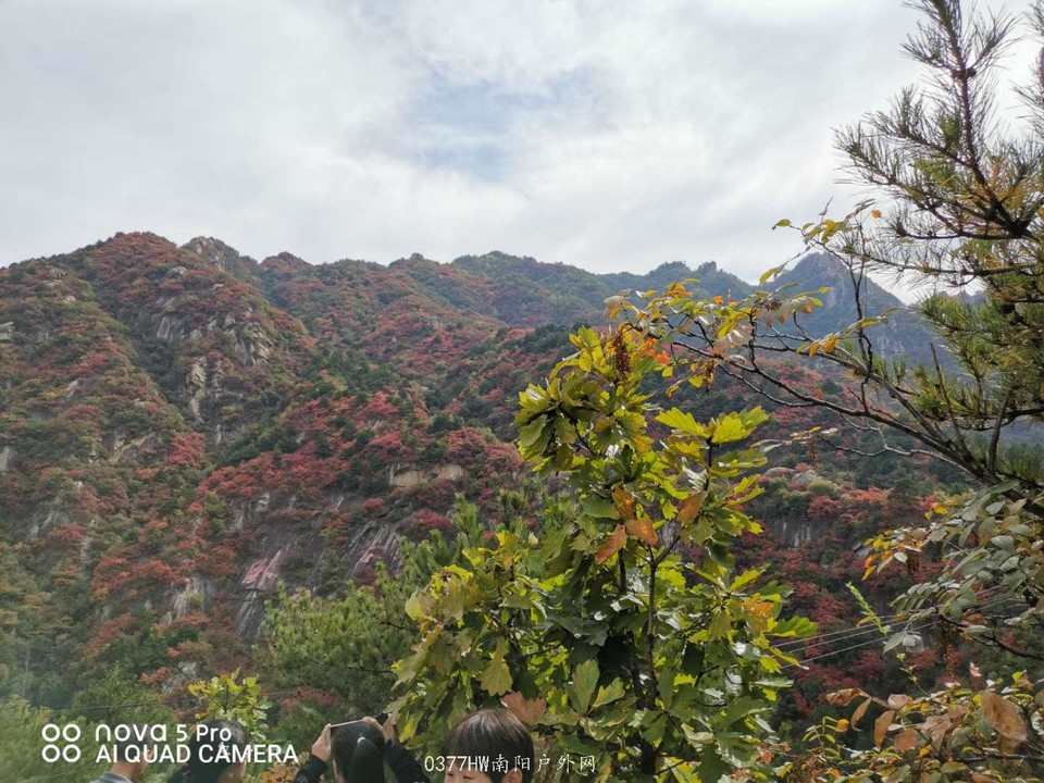 Hodwn247XYmEBi8puCxe9mMtp17NYX99Hc5XxwUE9dMpgDh2hFW3qsijy-ZWoFUo