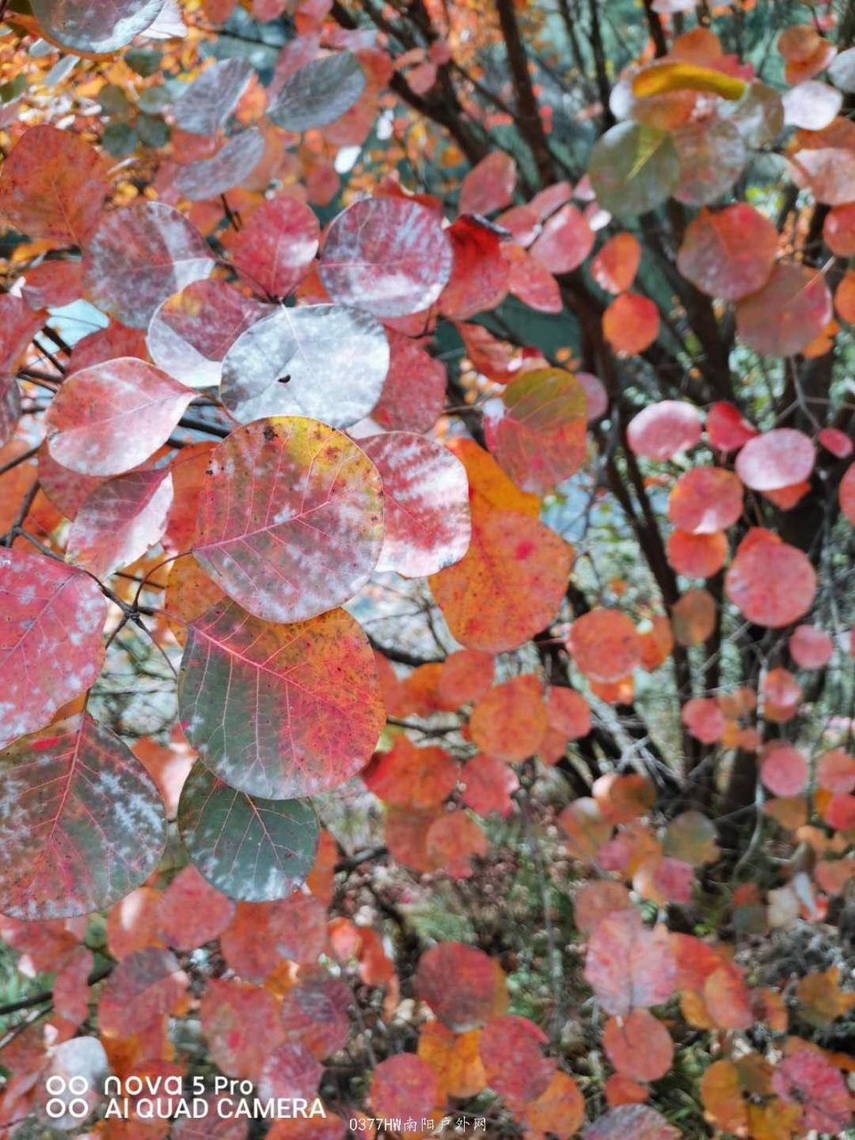 w0JLNWJqiiiOipJ7NyMnRujGkjcM7HUx2T5WDfHjqY-7hZakihX0gf3Ld9fPwie5