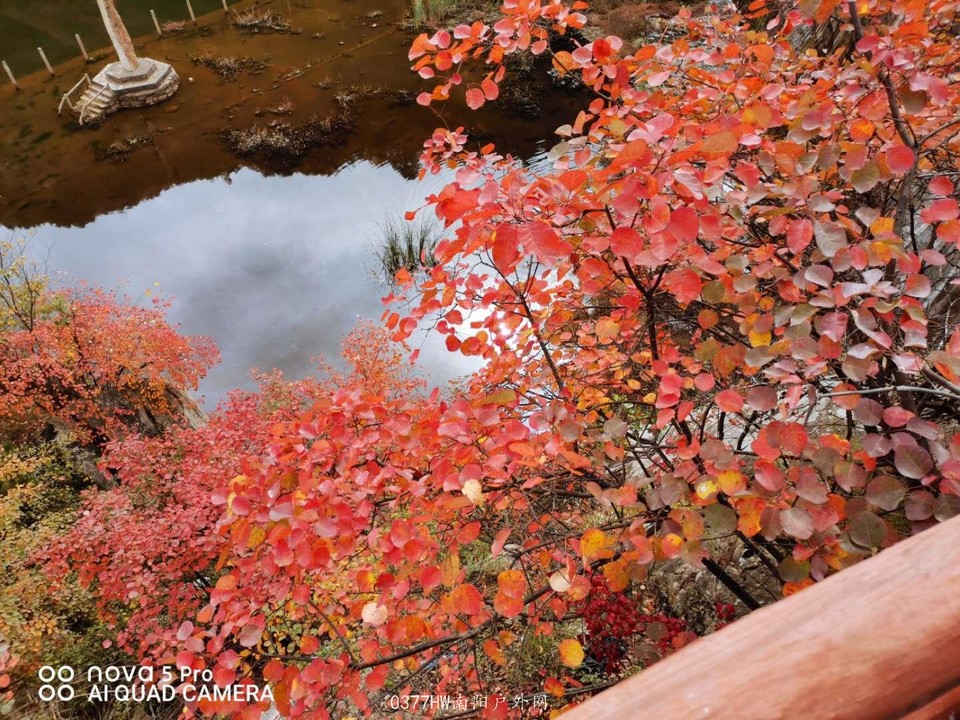 4u_tMnzgwmqvDMfNBpaeK019AYmBEKRXgEiTxo4yjBfQ0wh34NjsmB_MO_GxAEv6