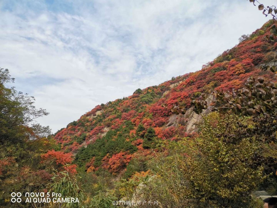 NGdseEd3SxwzZHX_wvFHdvXELQfrjzuIKy5LSRIKWtoWU_mrBe3uc14irdv5ROm4