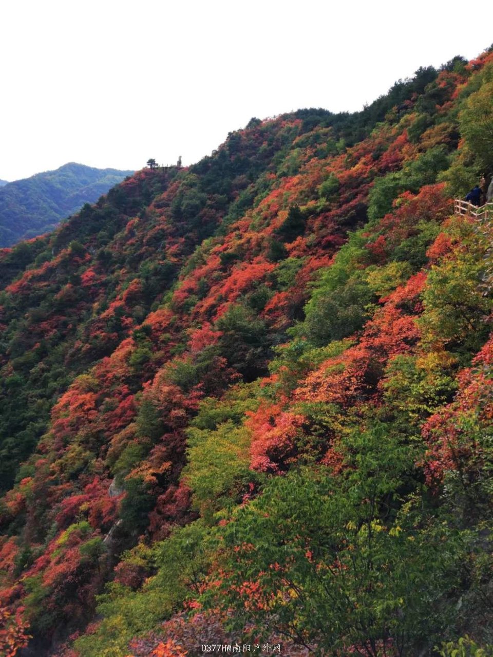 l8exyk2tJh8B9PQbKitNWOnO2mHU6xvAaawz9NXJquNhJDrdYjTm2GWIw7U8pgRm