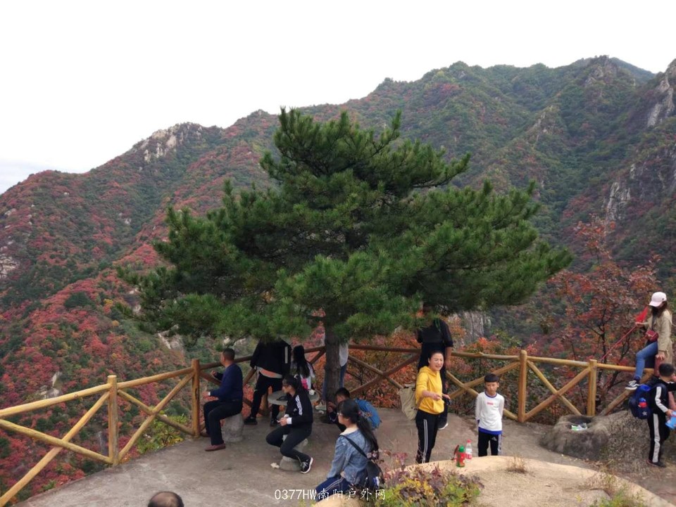 xfmTFDitC-IHrLPyKdBYESCzt33JCdi-Bory9VI2zvu7ZDbWOcAUUaBJwwT8aHVj