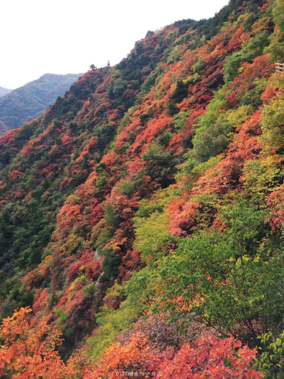 cnAJjnTbFRriYx3e3TCcrnbnGOmjhI8jVDaMJnwbgCJm__OKTNWu2NnQJF8e8lPh