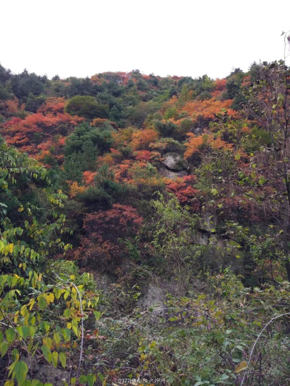 pcVMkUoNghZyTts_9ph4V-6DLAzV6pb_668TLbixpr6WOyDSnSbkCypiGyZSIhi8