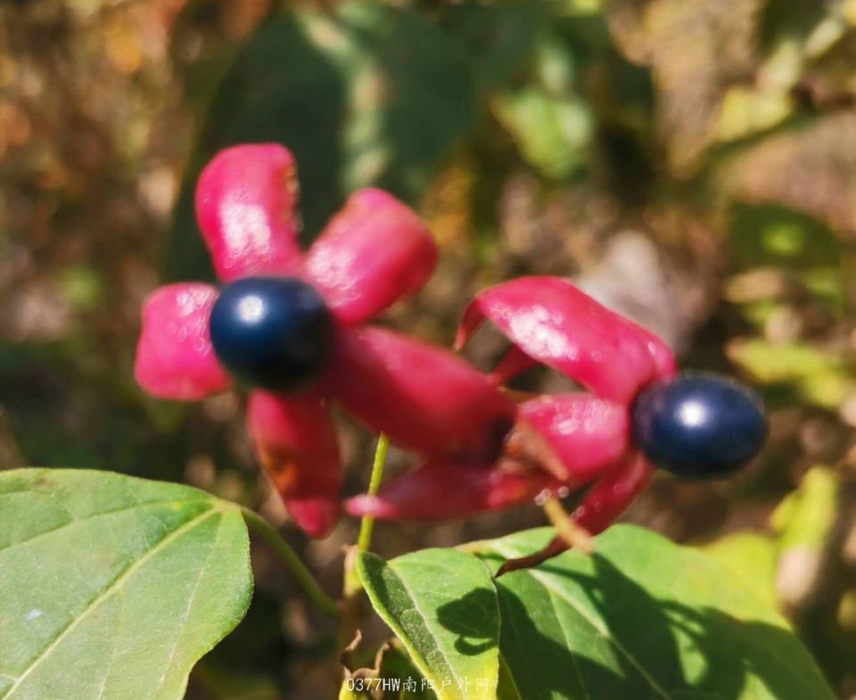 Znp79X-a0WIKQfByn8F73xiMG1RtTiYkhlgTXaCmekxUu6mWcWYyclKk9PmFLavu