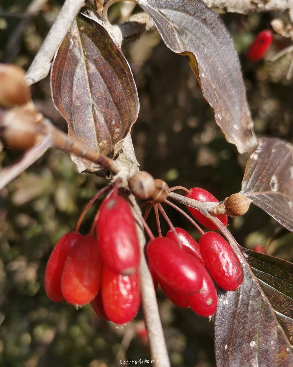 cmcpPF6jDDwTT61zQMKJE2B6qkGhpScnzvq25dZKhXBMA6-FXr-LwBIjFW3NTM6-