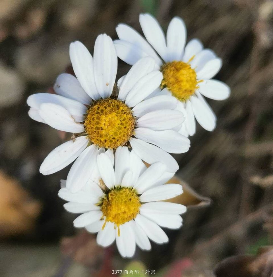 pQvNPr46OTZGaBn2rTP16az-f9JMU-IOcrrJJBHxcOk8mWSMrLQYJl_5c1jSvs1n