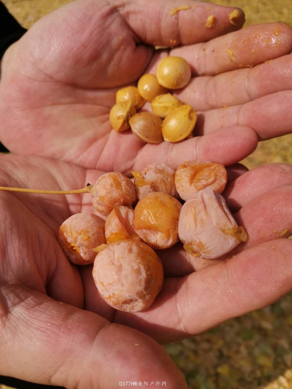 5CZDUZe5t-d-W5vF_Zfxlbny7yd8d8YHtpH4ZEl3AyhQXeFt6iGOqLsBoWr3Ygsk