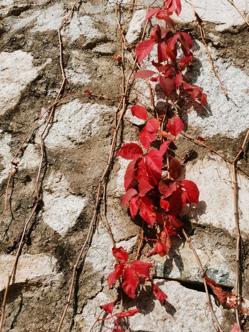 HXvbaZtC588g6jnGH7F72bMLhcNaPc_9PwhPsrp3PLovq5gyJMVsjBapLow_88AC