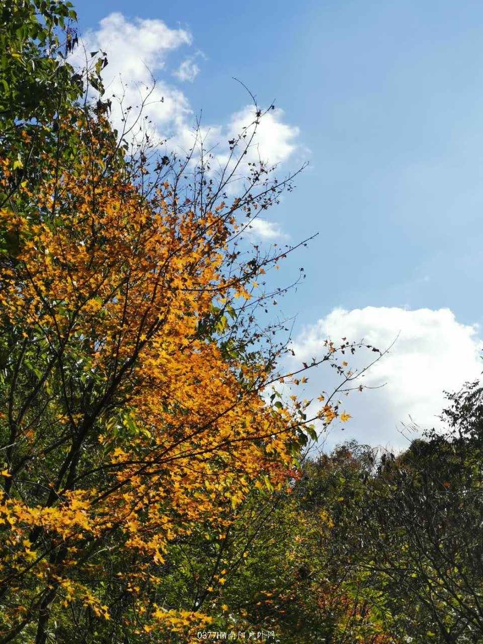 AgqNU8eXsgF7xK9L8RJ4TilCjSWWBPg-131MlmX6V5cZmV0QDBOmZsj5A8bWp66b