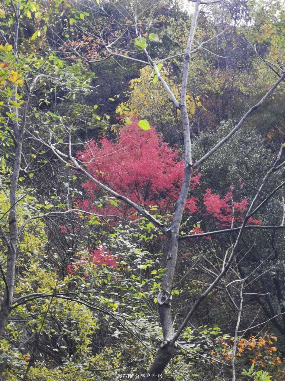 XHTZFXndmuD4fk3PuR3tiBFz3NFjazXDY8zRSEV6V-RsuBYOfLFVL6sAqlAScOZY