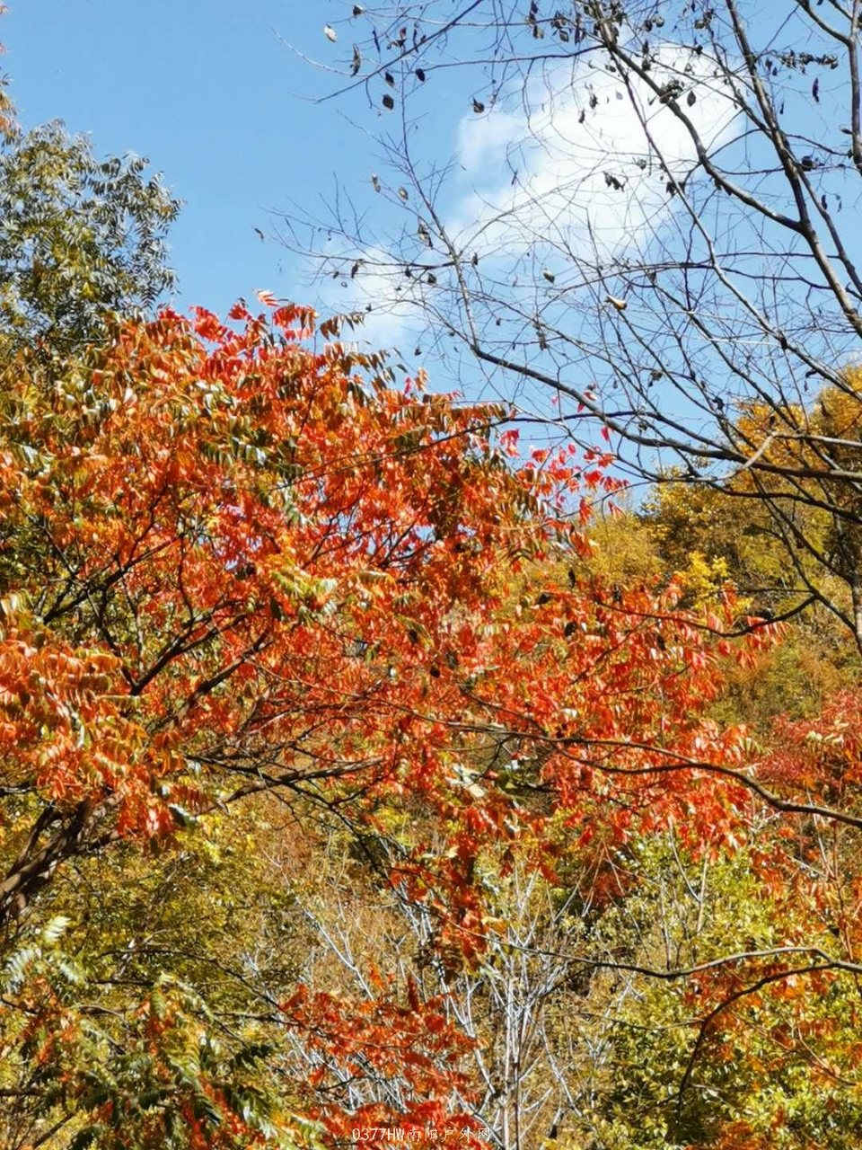 lT-VtFrNTzg3dYACSXbYahMGMh7oTx1cN1RP8BHLTAYmRhOjEeYyXbsw1ft5nzvo