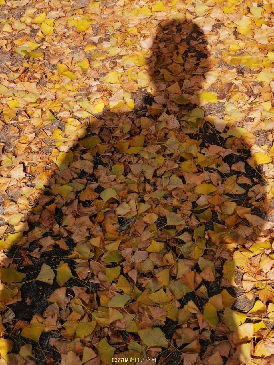 1WNOYheuAr1OQ6hu2xirfNktKbBwbFBmE2UYnib7tdCi8Po2Jxodni69TgEJUu_T