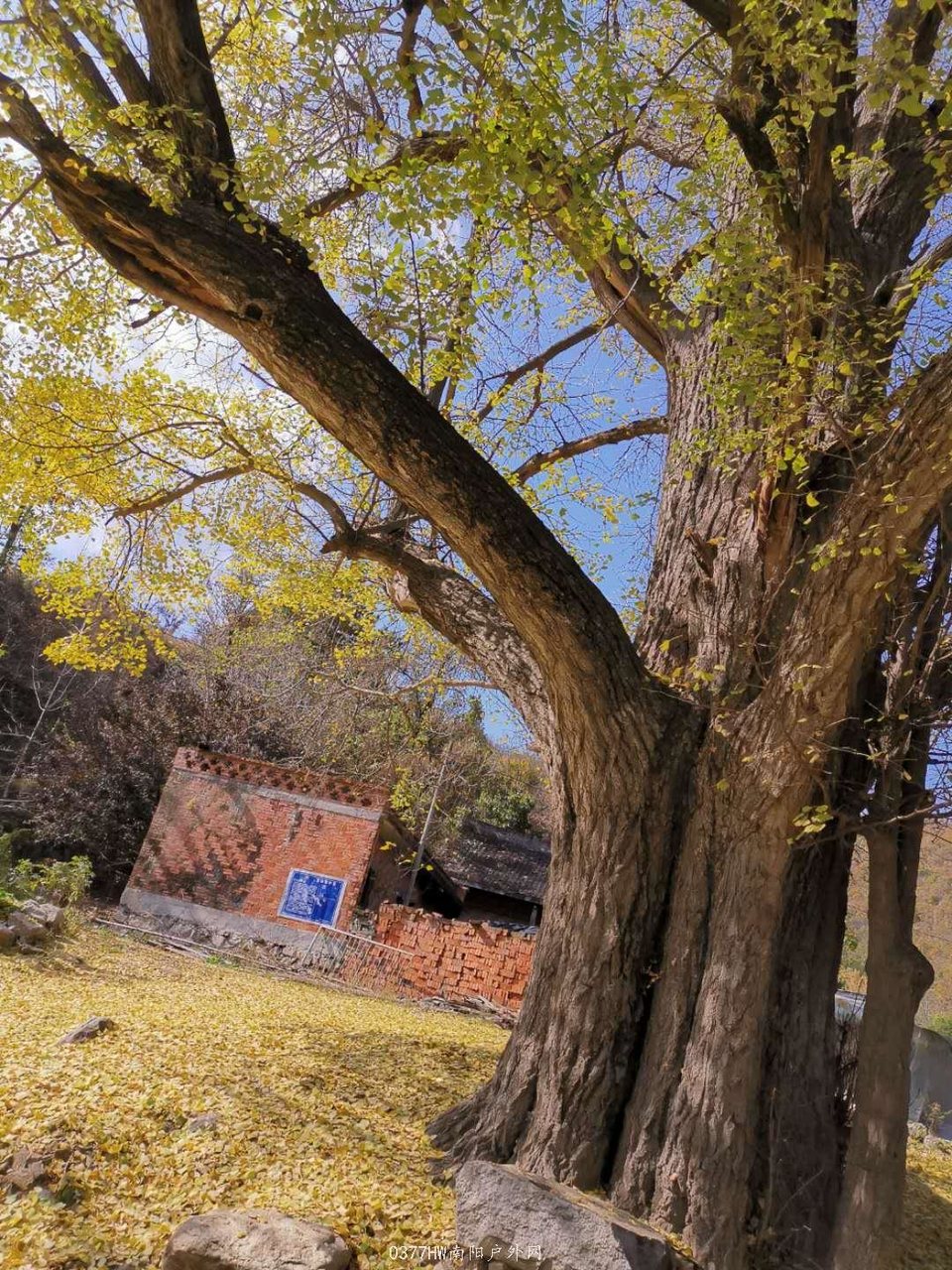 T2g9jVBtugbP-AGMSaJxzLaoWAFz0GjqiVS2FNrids9cv7UpeCoE3-R7nu3zwclQ