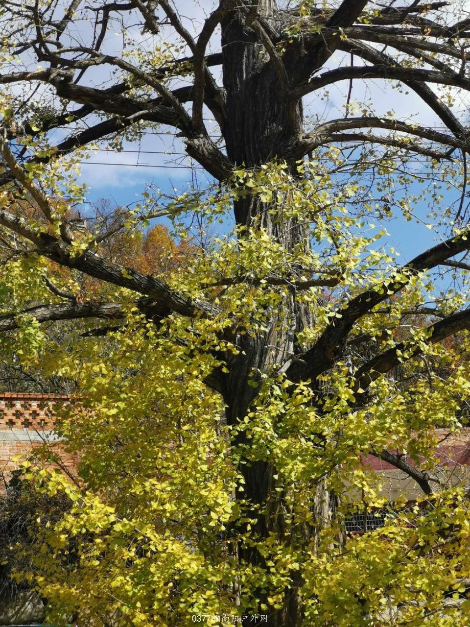 v5frc3HjkaAqaAhm1Bs73AJUJpjWMRGjyT_ng0cWJuyjmR4AfgsrIg37cE1_dkfK