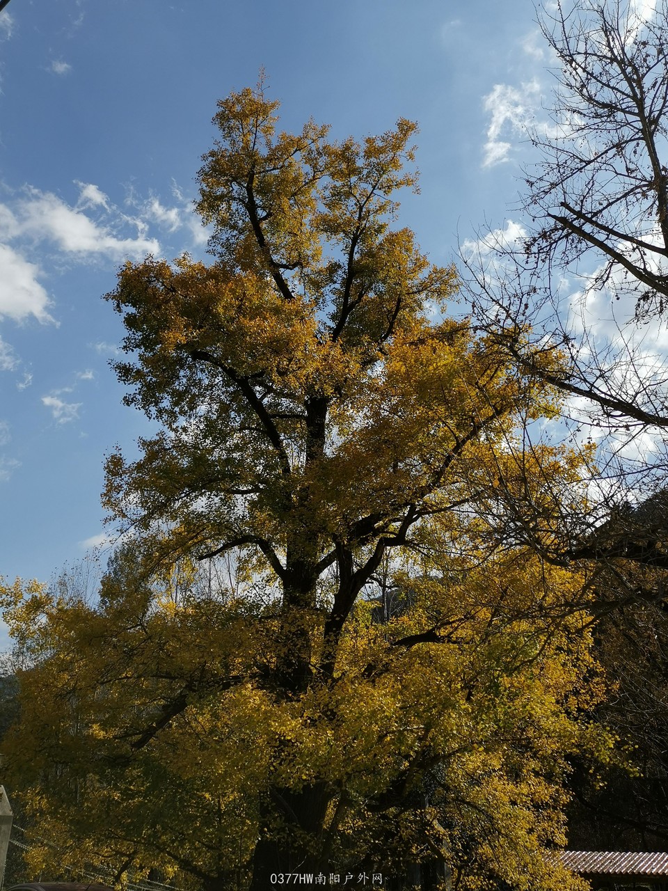 GT482fgOFqNWqTFdh1Td4MP33Mg7vlcGGylIlaNWDEy9-Il8hJQ4v4cs_3XCTCYM