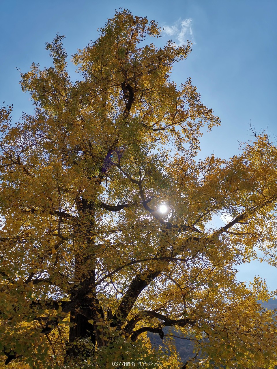 RG4w0ATCqaLe4hZgGzXNEpx9p62ANLEeHuN07ki_G3jdkFdquZBiJDCSS6wZtMHk