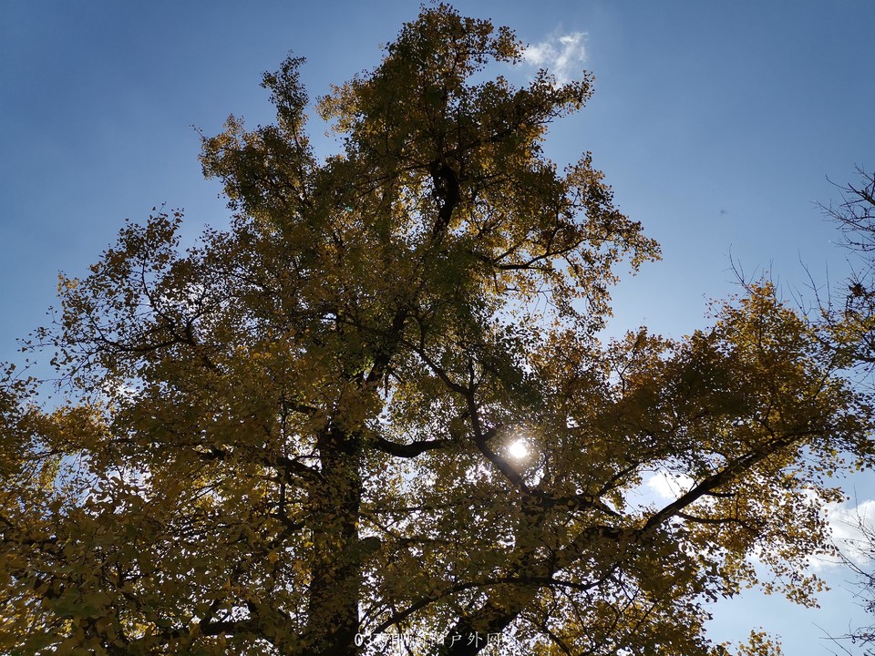 0jOZL_vmuVR-bapPhwhRMm3gFrVbqZxwfZjfgcA5U9b89wra6vpyB6j633LHuzIo