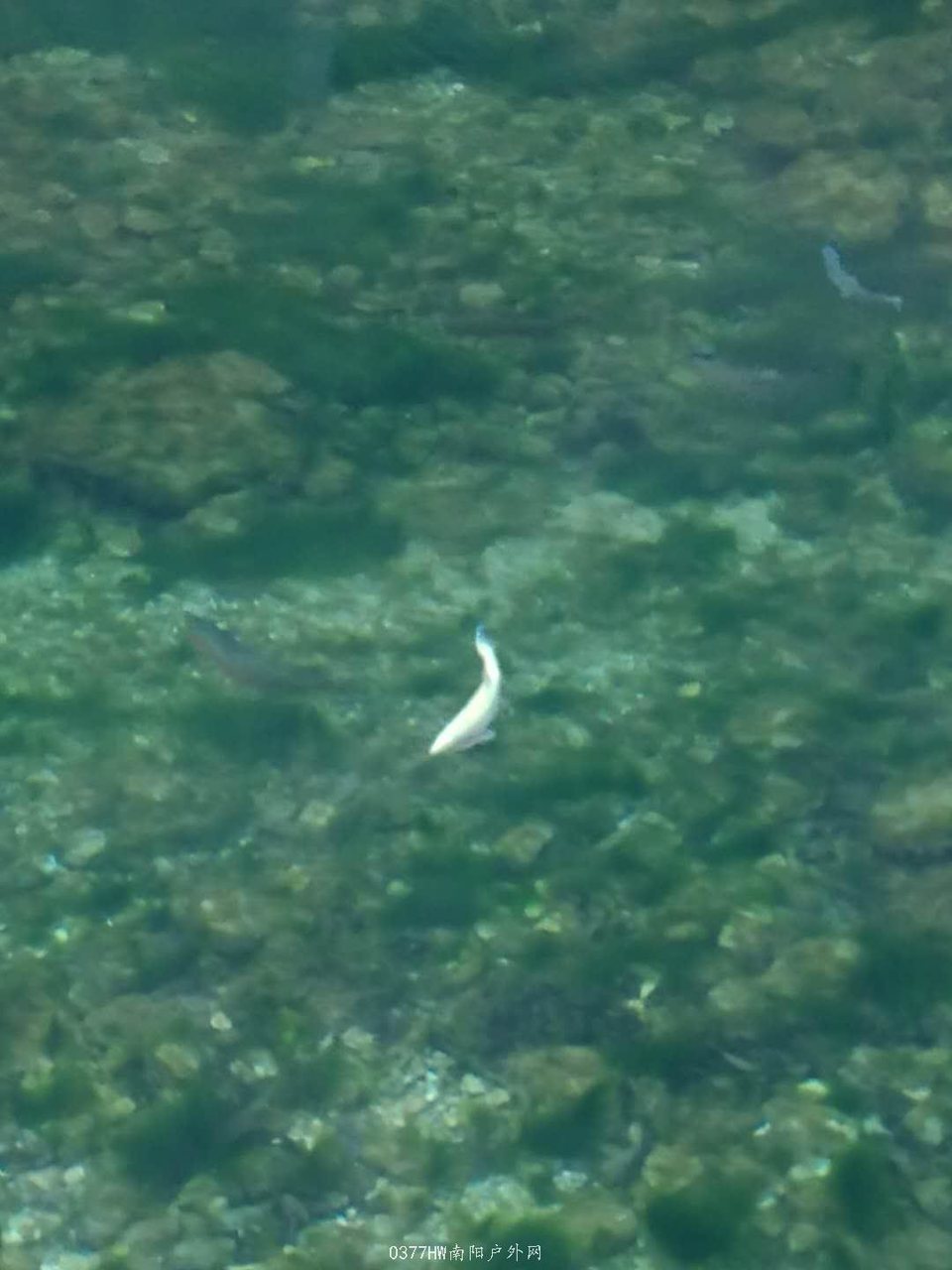 IweovJRHy0srfubeRt_4PEjM2XwwiJqjvfzr0IOZfscv2yfcCjOZ1V8yYO3yRKyo