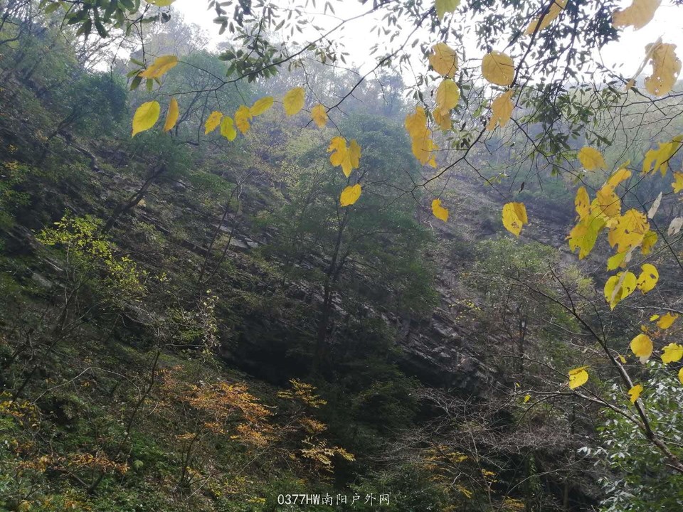 4ewgpzFHSbrQtMZ6FPnmYmcBjgQOYVNI5IDIslBQOx6z_XTcEwRN-4EgJZhnISVD