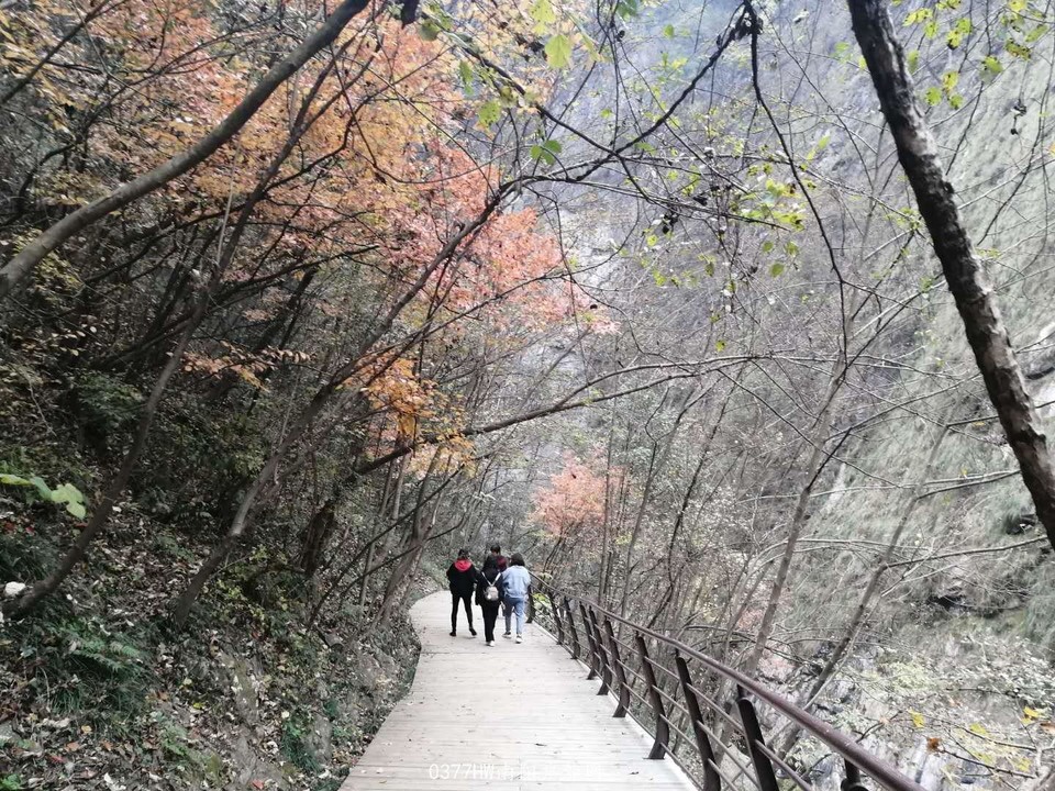 yywu4wteMHl9TIND9D-yKd1ORYaWC1wFQ5JTWXrzc7OJVRJ7Gt9gMZblflyUnf12