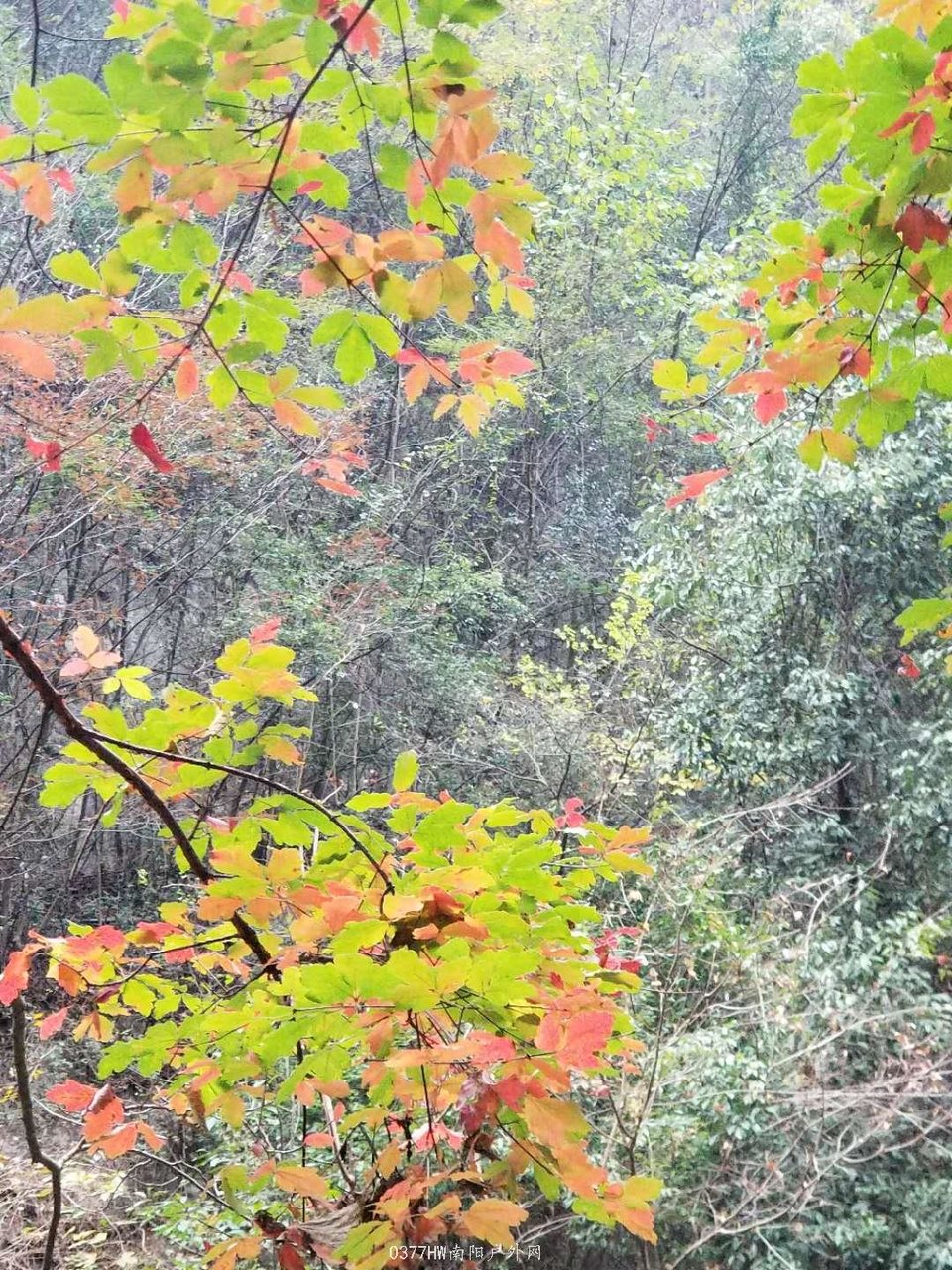 MOzpbt6ijD9IvkRmPKtSHwa6bgKd6Hb_vLJ51YW3DE0ilMxg0RF68wNqMxx6ZZty