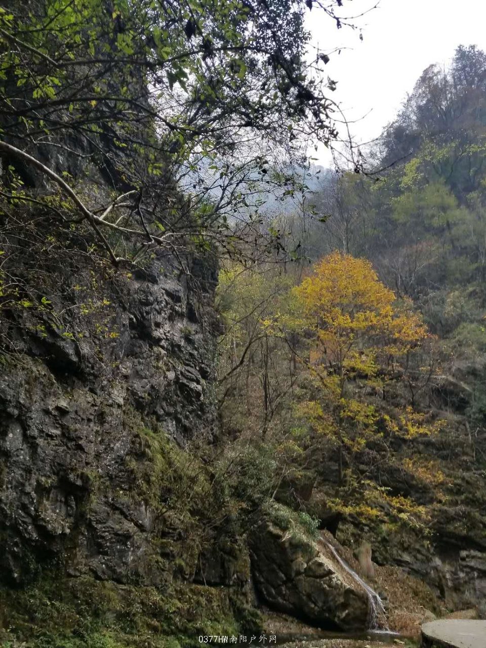 5YrIWz89oD-Npx3skuX6RvXCW3TWJAA7TKljxUlKRJKdB3yvVAPHJDV8A_qoxmWf