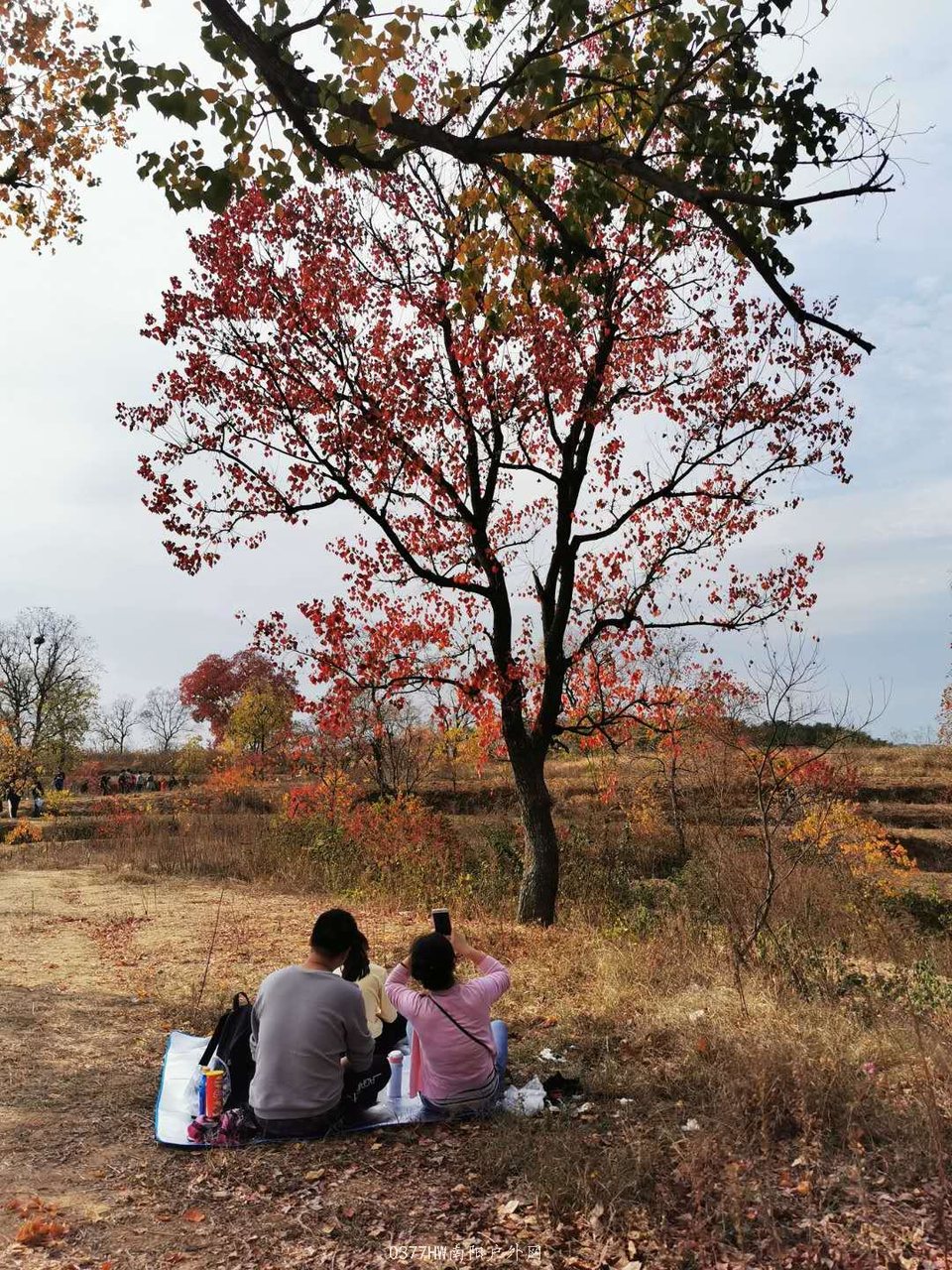 W5K5ZjPcyv7AtbGIBNPy425zKHMDpupJ6X2rBRIcuhTlSQLhFDitU4MUZFTau6pL