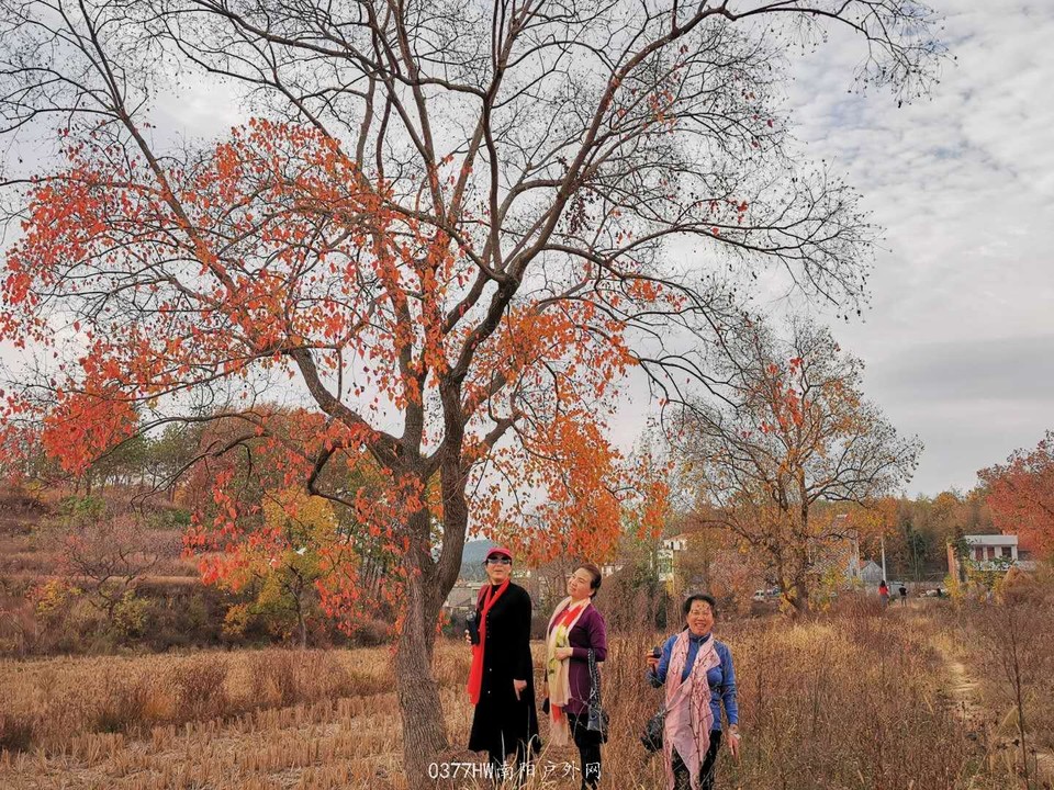 xK2x9GghBIal0iuanzWCtfB7tENKbkLeLvjg0Dm55kTYExri4_7M0eCVF_QaChvV