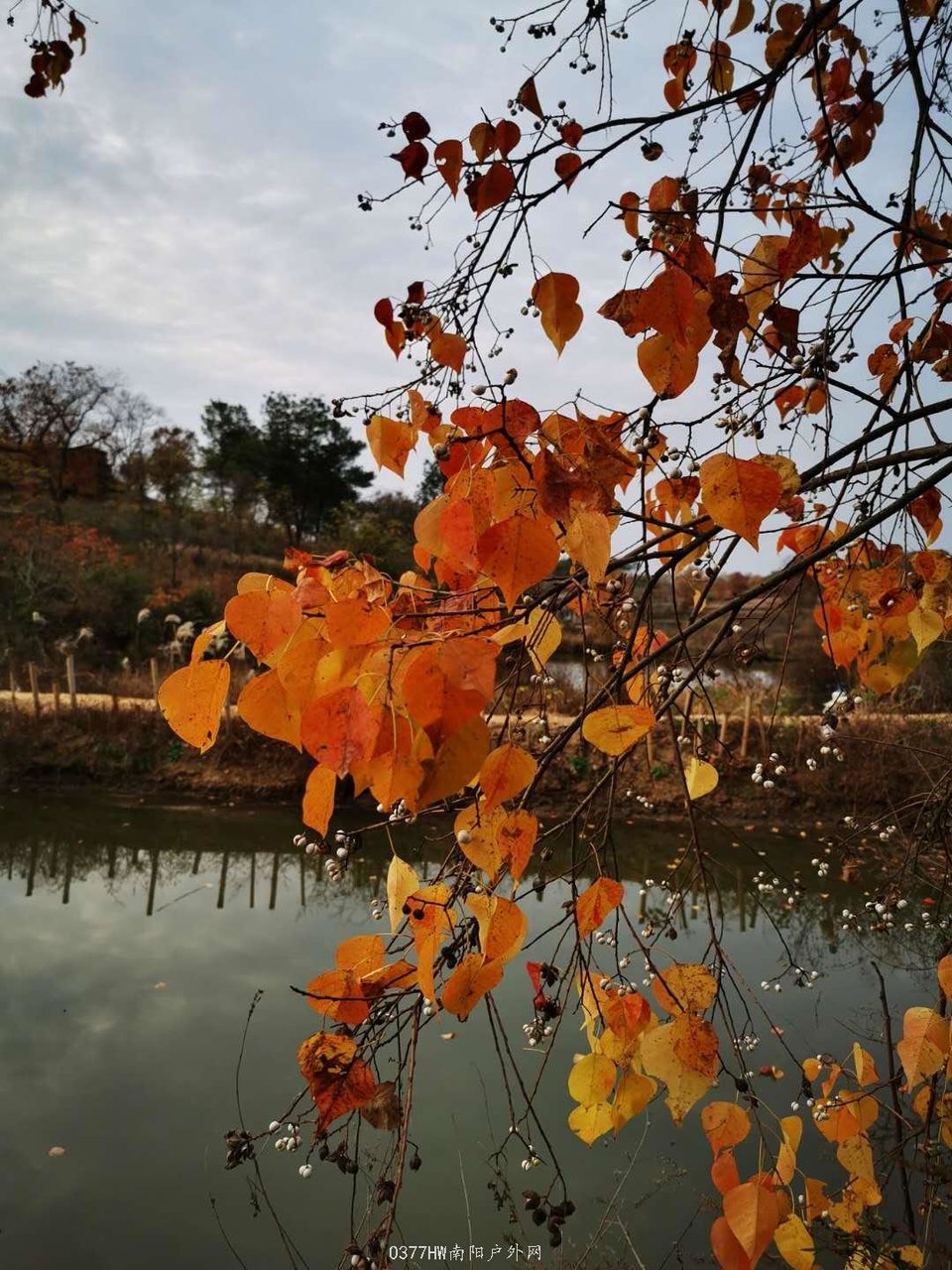 vJpOvIeietgSlxfCsD_rddon24rAn87xjcuDd9FnrDRiBoGfOC4Uf693RkXwUnS8