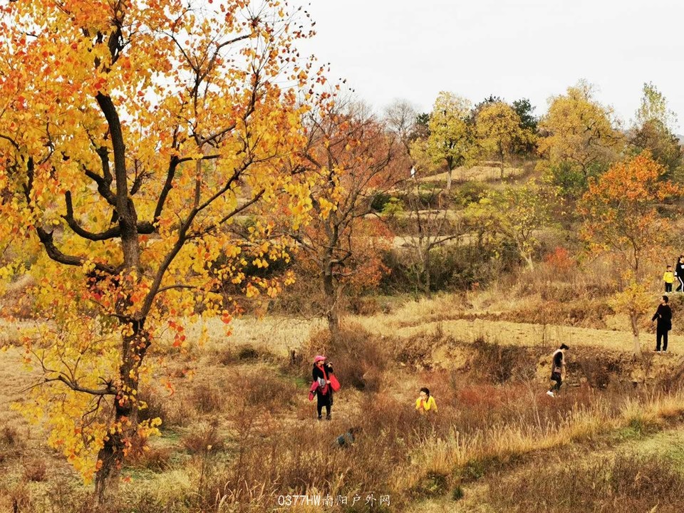 hxqpO8pOXNFALrDy_X2r7UJFmPV3UinbmbHmFLoldOEvzhtRAi3MFV7HXXRMydg7