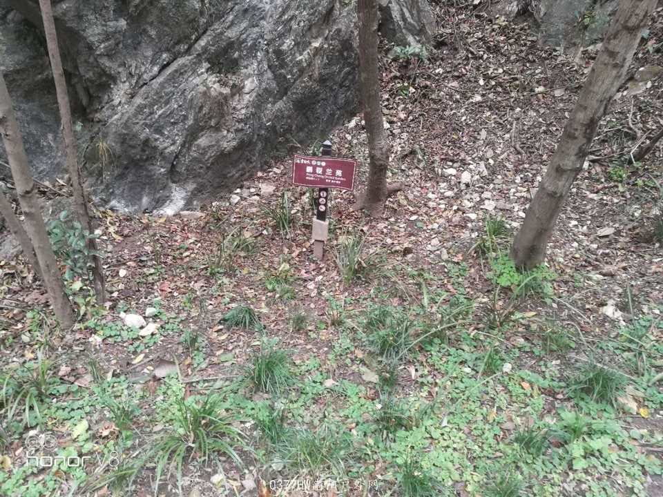 TQRYv-f0xfT5CH85fis1q0G-u8Z-85ynQQzf_Pjgcy2ppaaXWzoriQ_RLsHsIn-g