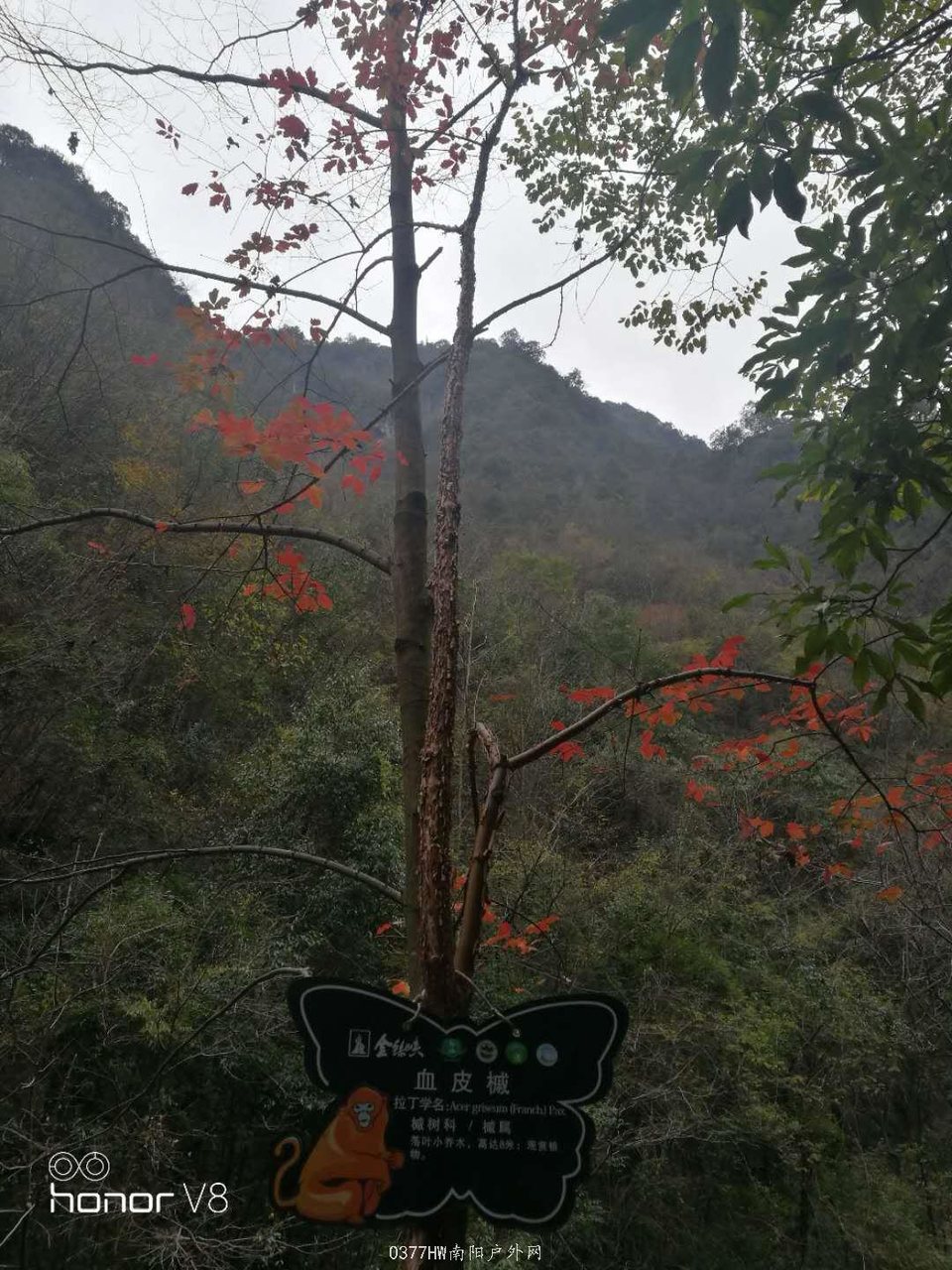 tk7J3NwHck1aC9W8ljZIHtlLZHwXUheiS6eyOQlsNw3nu89OrdHX6lyaSMNl51jq