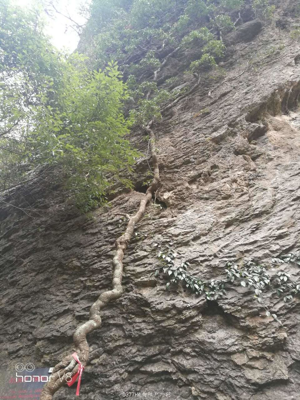 0YECeR58Xf3aWcx3EYaRMuAINN0Syf-ZDWZAKkXM_hT_xrVjd0kCc4bno_1sDpvi