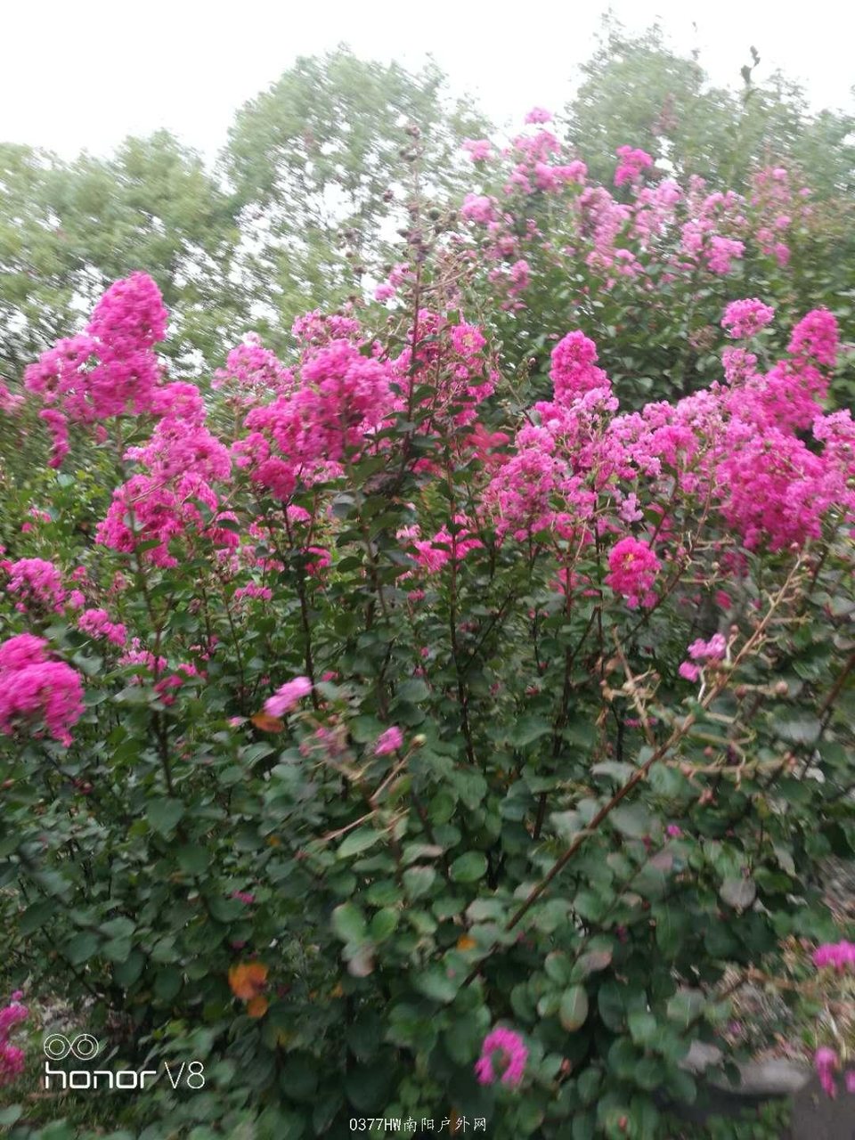 QANb_LJKtkmjQtPyhOeYPA7Jg5fY0GKbgjQ5KFgRElad7Fn0Srv41Cbs5j_KcuXW