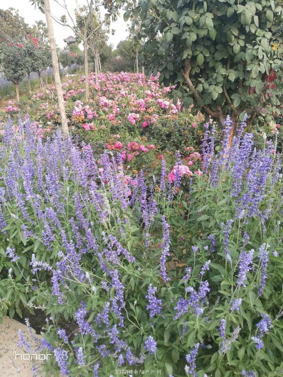 eMgdwJ7fCAwfc4ZIovz0BQjVKoMHfXMBcERxF_XeaQDQcsJKKsS-vVH-nPrycaeB