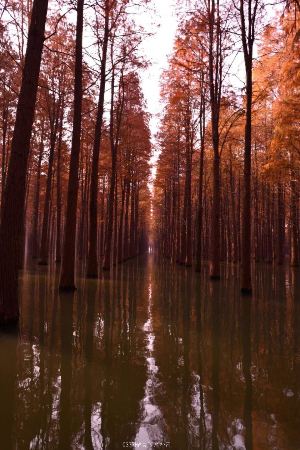 FdUphRQtZyO5JQXBq0rama6vvk5uCNqXt8SWUrD8YbFiB0vF7vwo_TJZ54ePIN8_