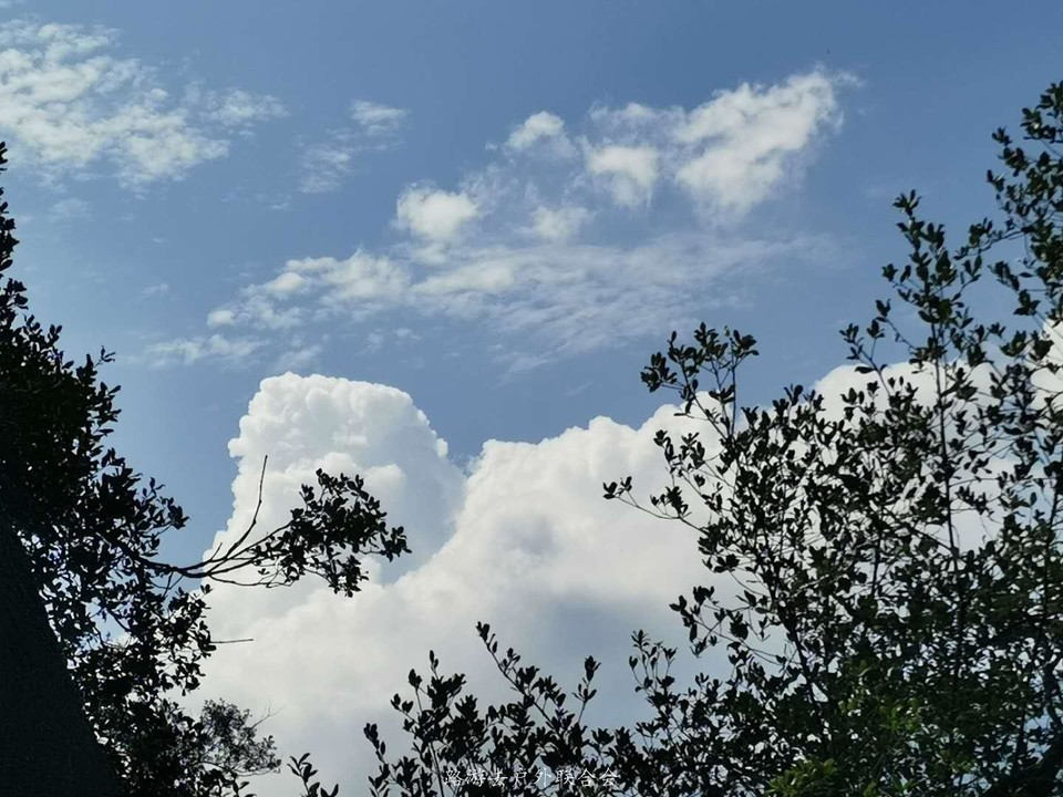 y7ZmWOcLlzmxgcm3QwNqdcARY3fzmpe9a5Aw4R7Nj9uCPujCEsXh8qfuTH6FGTUm