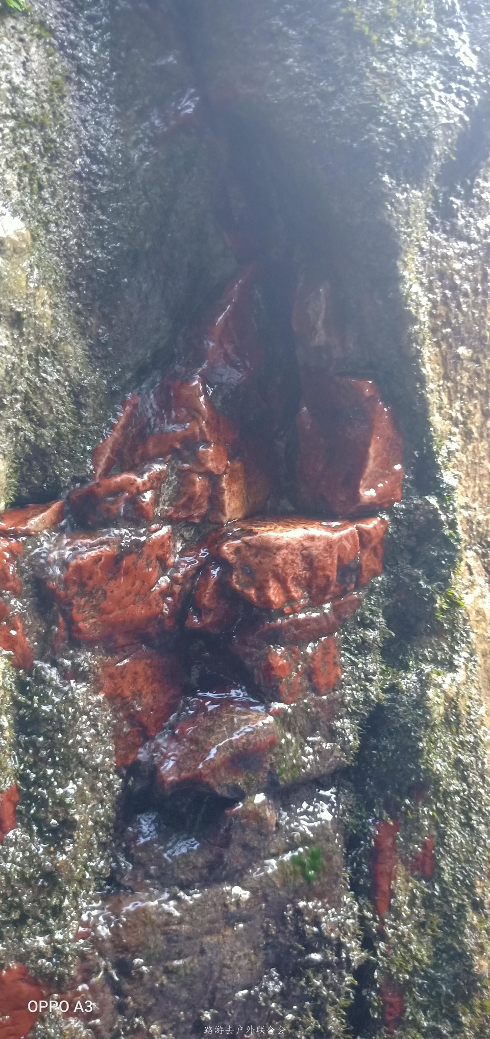 z-D0EjqoI3O_UPEU6rpT264KZixtB-LJMvkI7p2xuuVoBzNbOlVKfwKDlBaZxi9Z