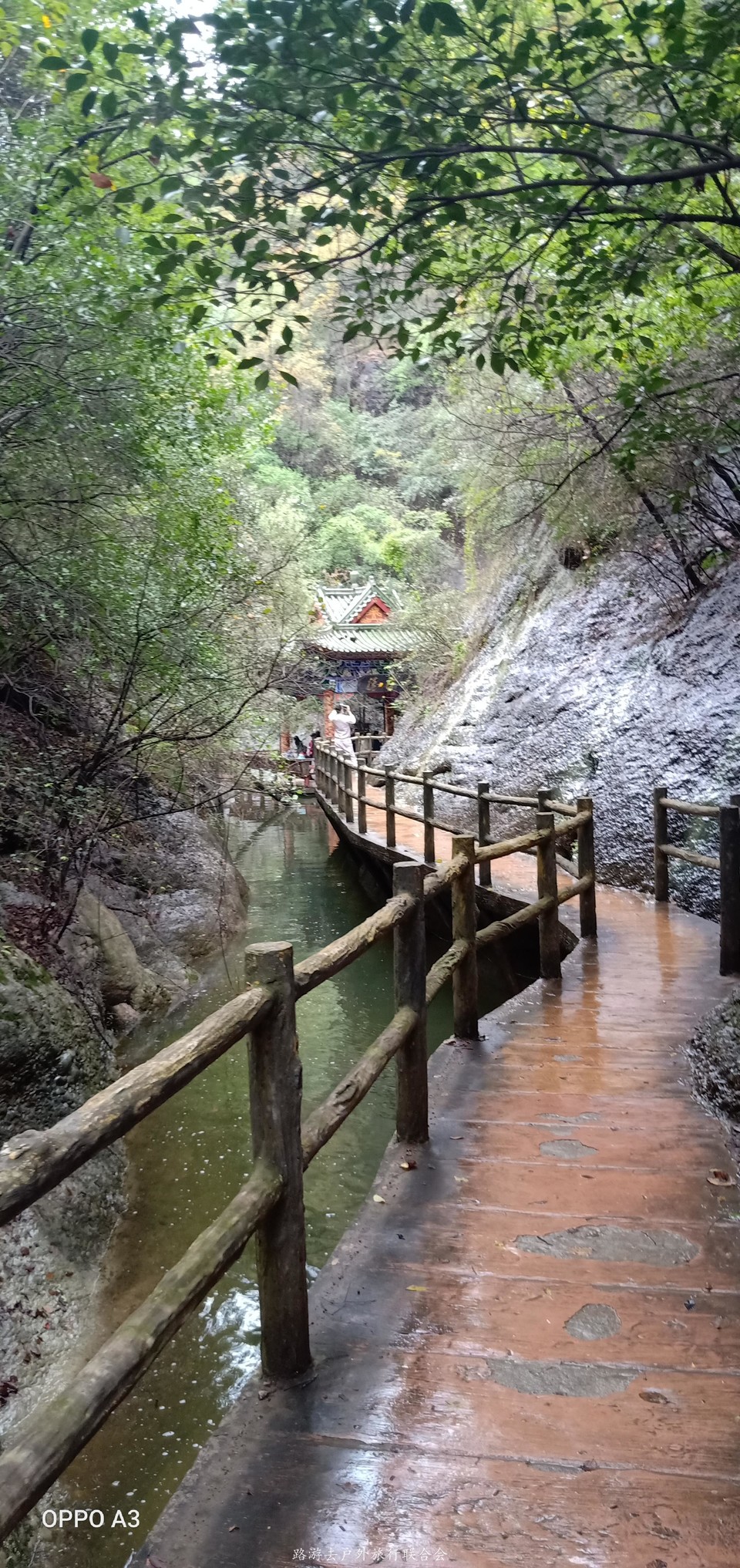 TkdkF2eAqpnqfUnKVSNBJADO8tF9FJ6OYLG1yOAJYLsGyKq4DMb7LeggGQFD7ULk