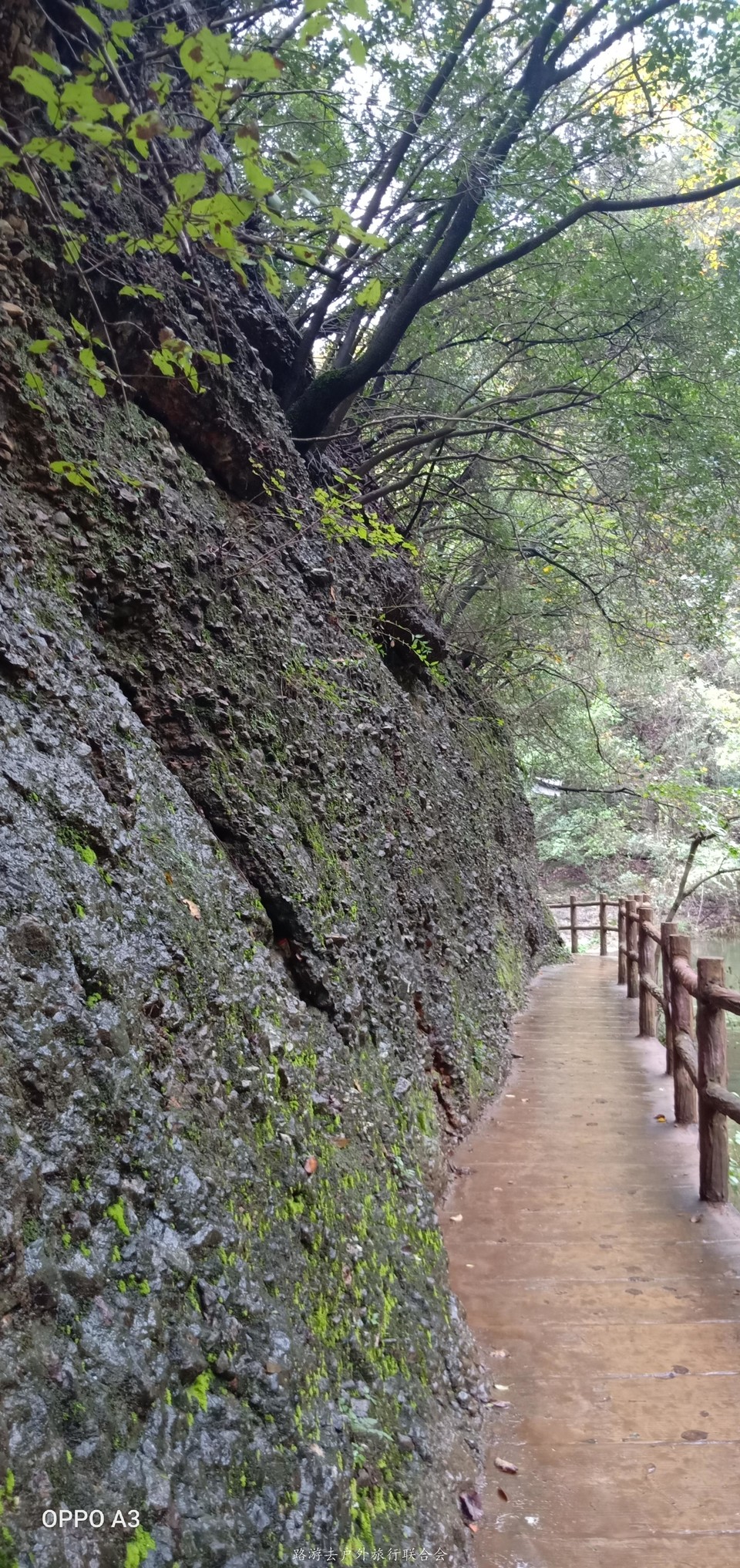 4GVQXC8eQr3GfFFIr89UkxMr1RtYmeCX13nCNIuuGA5391FaAAny9WABQ22r7v-d