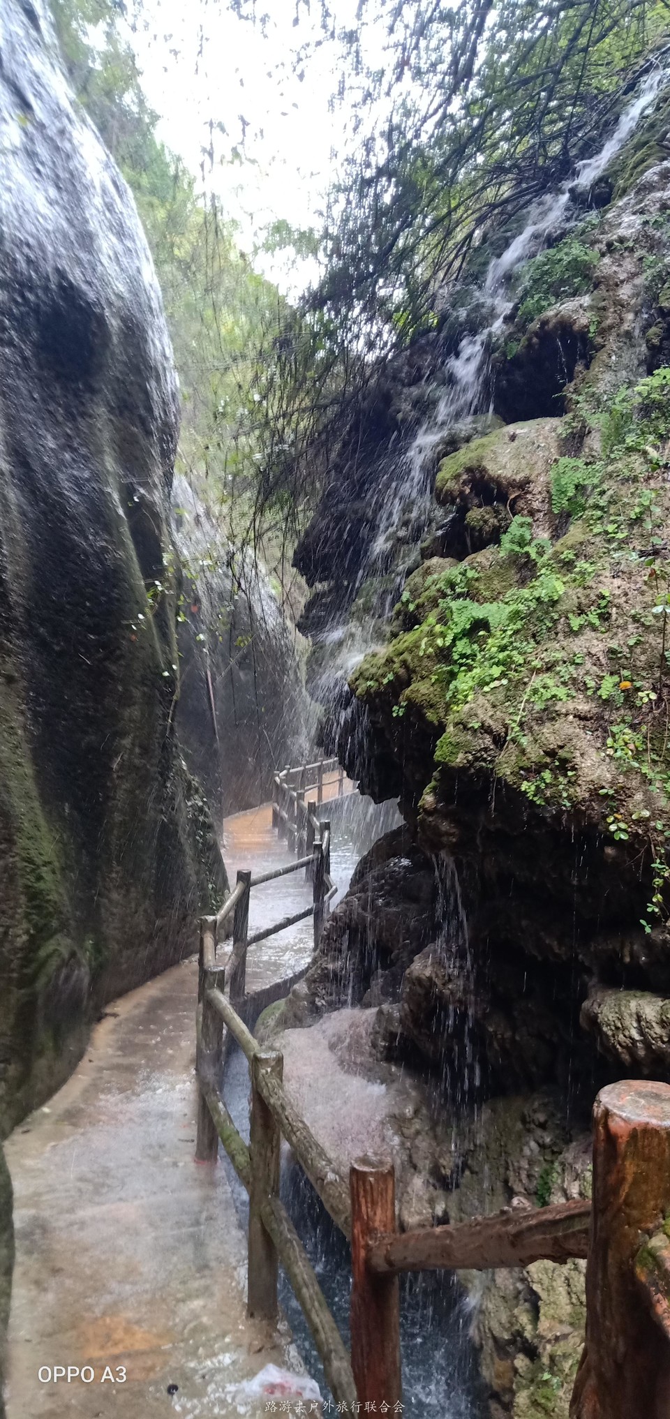 T1PcmnBXqVnojVX9WbntGVk7o5LsV4dQl3V331pPDhAO5HHg-1hIWoE6d6K_12SD