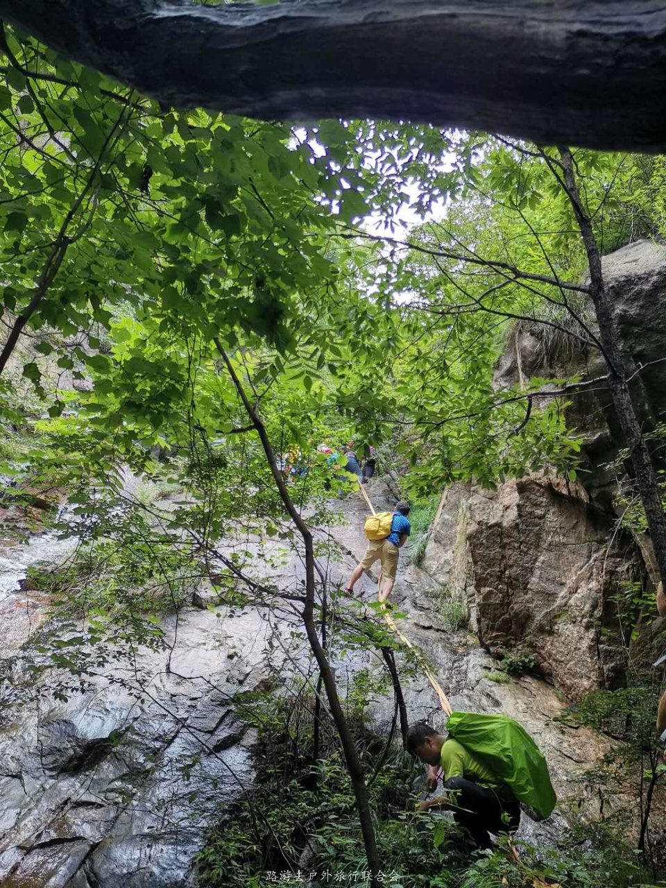 o5Gn54Az62ghku1GHd1aXLEu369W80GfV30GAS5fUynLuAYTmy_qa_64AXWzygwI