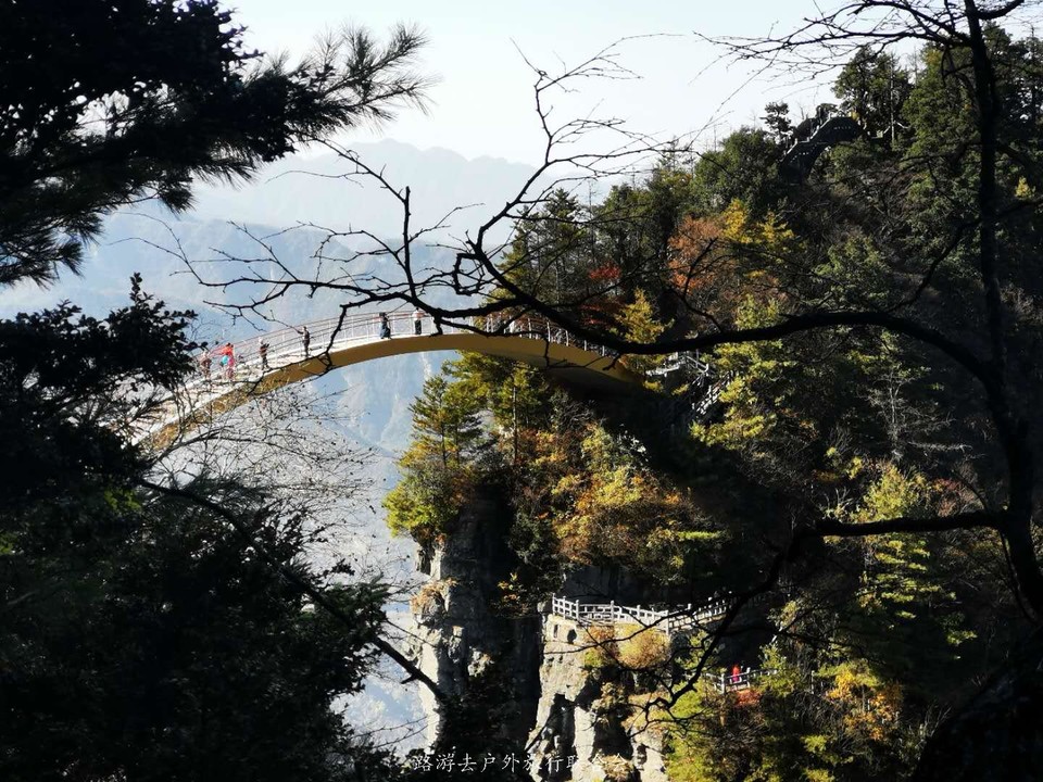 350-McsscsjeCAoaLMMOYQ5FVr7-todYxULT1eKrOm1BZmwHtIJzy7MelRv4T8dN