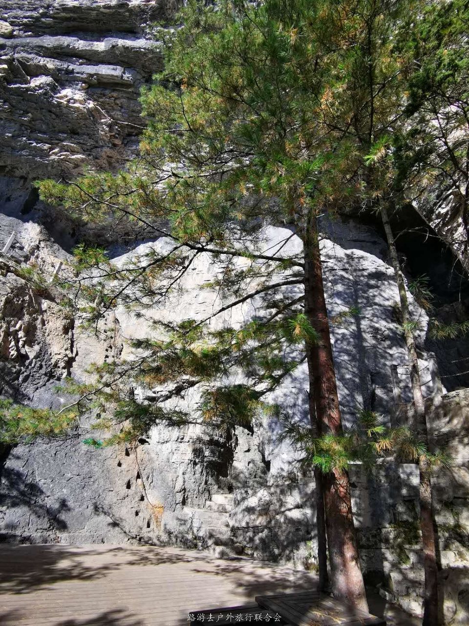 bphhNvbv5uWtq8X9YHoGjLVz2D5wTSipefWly2X4CshlSVIMXec_q9tQNmyW4dtt