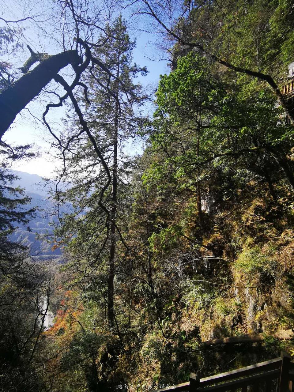 Iss5T1WxB0GjVhhq76KYtDW2ct2hqHU2sNacHZw-AfkgMj_dxxCxvpQUuuz2KbDH