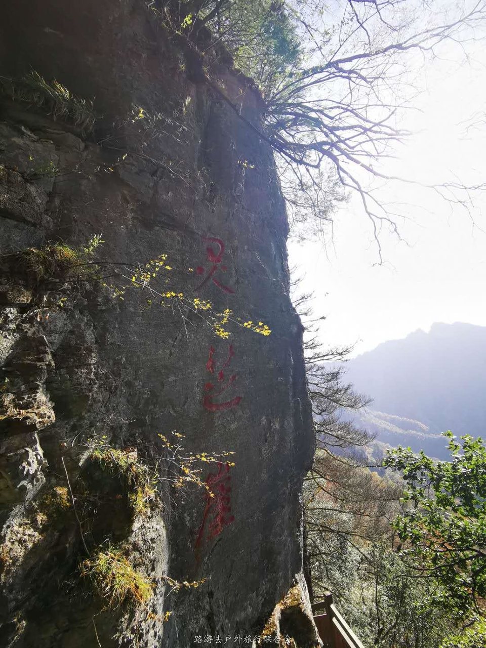 sNjDh0mnzDZbv3aObzuPG4fL8FrvVOTv15Pteq-Pj1Fm9Sa9IRVd1fnpo8MDwnn0