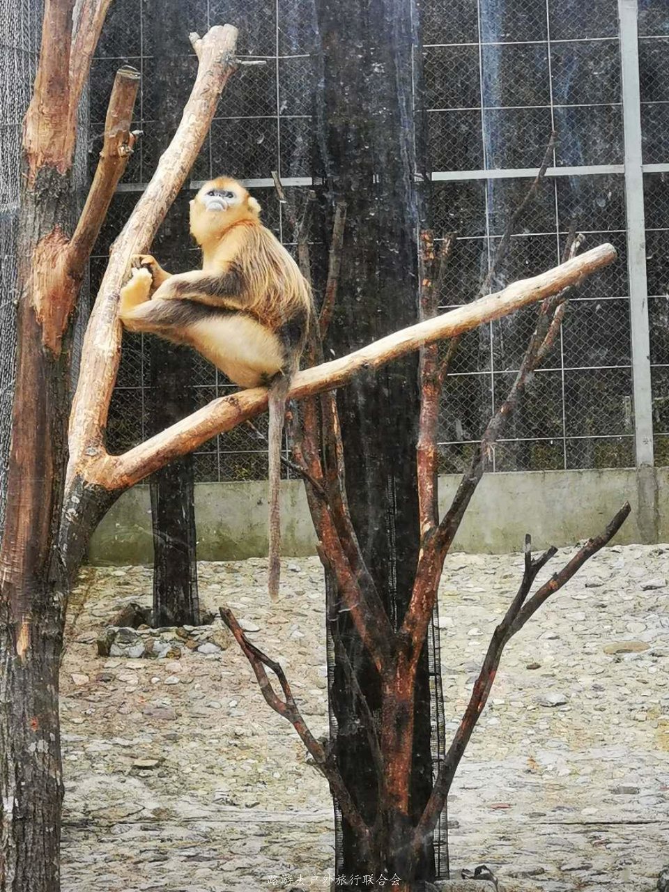 QCvNDB4cGDktT0yoAI9pR-ljefztz7RlslGxLE6jHqk0QJp4JWmPuraRy7E9P7R0